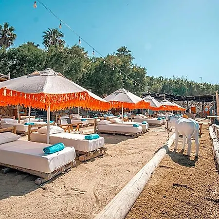 La Local Beach&hotel 酒店 亚力卡瓦克